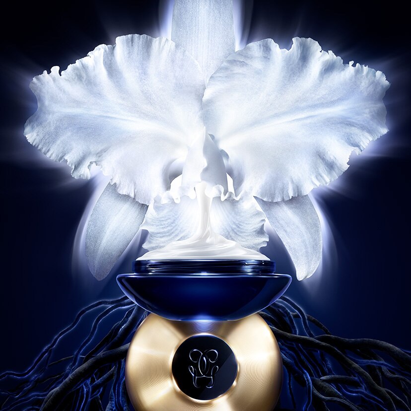NOVO - Orchidée Impériale - O excecional creme de alta regeneração